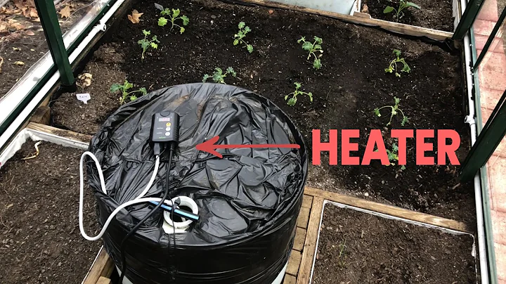 What's the BEST Simple Greenhouse Heater for Winter?