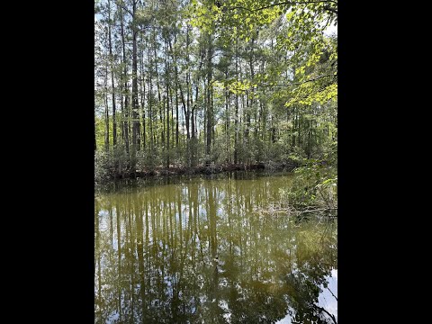 153 Rutledge Drive, Eutawville, SC home video tour