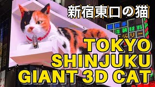[Tokyo] 新宿東口 3D猫 Cat and the Echo/ Zero Gravity/ Cat’s Talk #japan #shinjuku #新宿 #日本 #ニャーロをさがせ #三毛猫