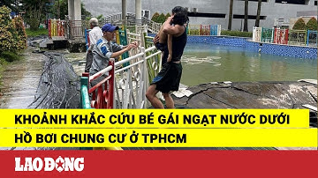 Khoảnh khắc cứu bé gái ngạt nước dưới hồ bơi chung cư ở TPHCM | Báo Lao Động
