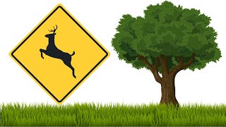 Basics of Whitetail Habitat Design