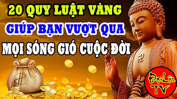 20 Quy Luật Vàng Cuộc Sống Bạn Nhất Định Phải Khắc Cốt Ghi Tâm, Để Vượt Qua Mọi Sóng Gió Cuộc Đời.