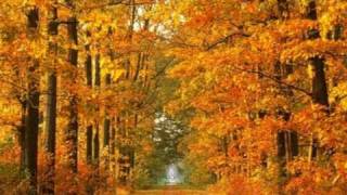 Video thumbnail of "autumn leaves - toots  thielemans & kenny werner"