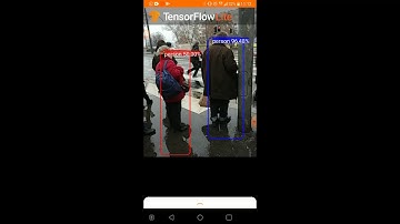 TensorFlow Lite Custom Object detector Android - Budapest