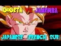 Dbz fusions  gogeta vs janemba japanese  french subs vostfr