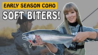 Coho Salmon are Soft Biters in Low and Clear Rivers | Fishing with Rod #salmonfishing #fishing