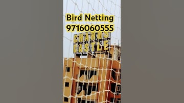 Bird Netting in Raj Nagar Extension Ghaziabad । Bird Netting near me । 9716060555 #motivation