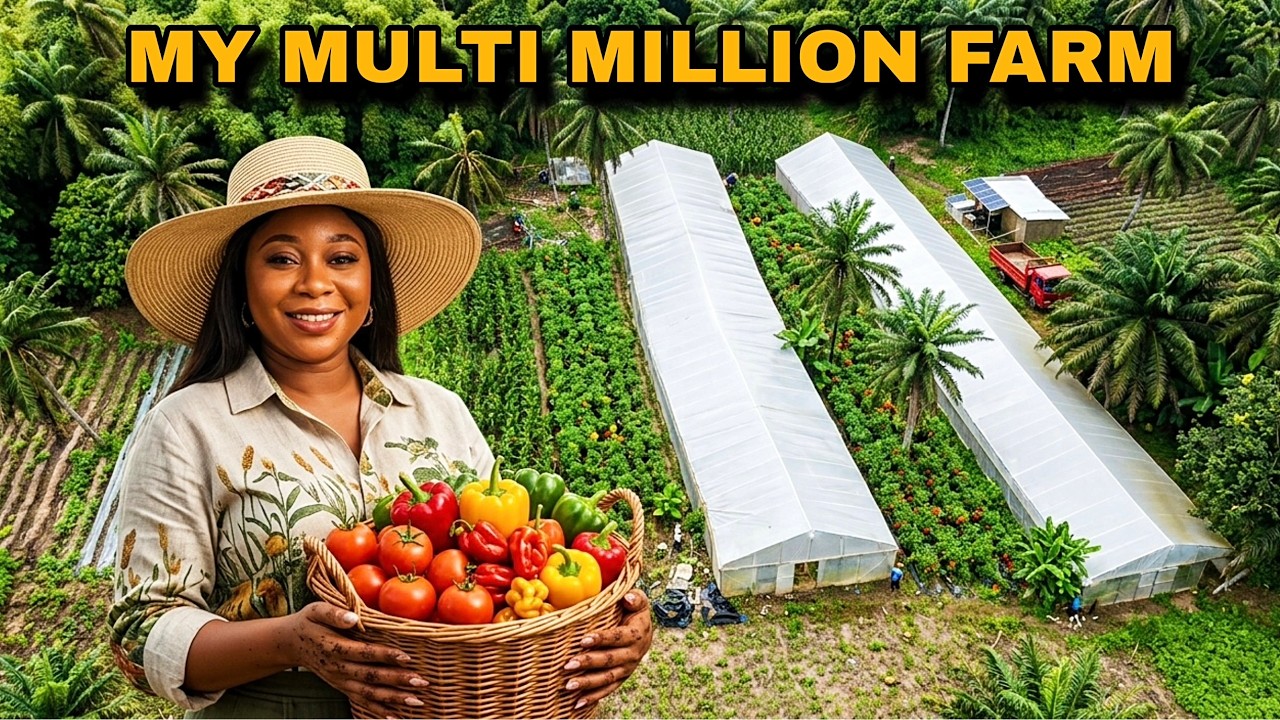 HOW I SCALE MY MULTI MILLION FARM IN NIGERIA 🇳🇬 WEST AFRICA 🌎 | Growing Strategically| Farm Update: 