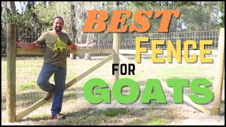 How to Choose and Install the Best Fence for Your Goats | HappyGoatAdventures.org
