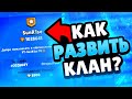 КАК НАБРАТЬ 100 ЧЕЛОВЕК В КЛАН BRAWL STARS // КАК РАЗВИТЬ СВОЙ КЛАН В BRAWL STARS // КЛАН В ТОП BS//