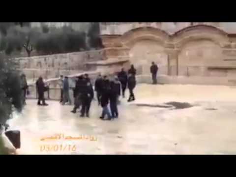 مستوطنون يقتحمون الأقصى بحراسة أمنية مشددة