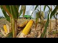 2017 corn harvest cab cam  farm science review