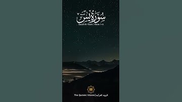سورة يسٓ SURAH YASEEN #عبدالولي_الاركاني #abdulwali_alarkani