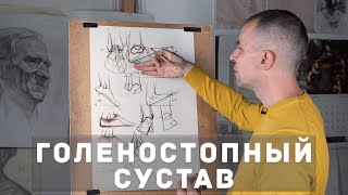 Голеностопный сустав - А. Рыжкин