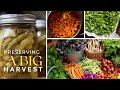 Preserving a big garden harvest for the homestead pantry everybitcountschallenge