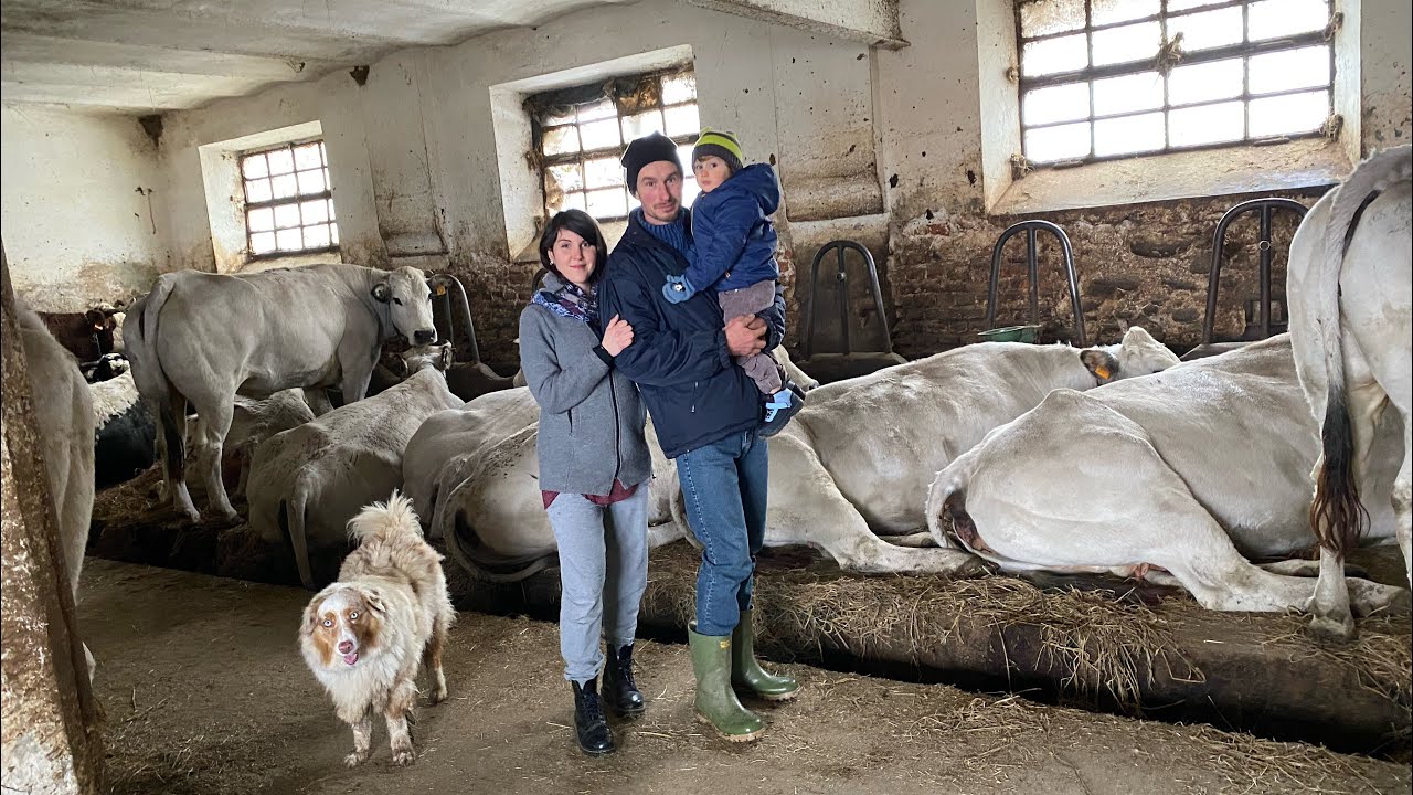 Az.Agricola Vella Andrea e Giorgia con il piccolo Lorenzo vacche piemontesi e  barà Massazza (BI)