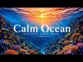 Whispering Coral Reef — Gentle Sea Life Sounds for Stress Relief