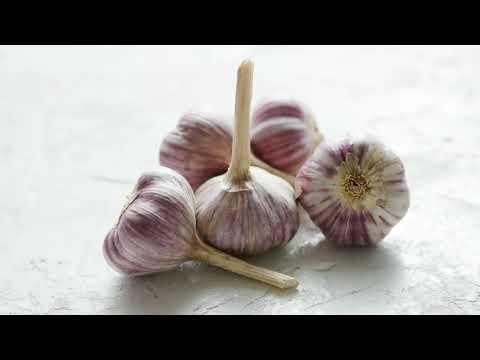شاهد فوائد الثوم مضاد حيوي طبيعى ضد الأوبئة والأمراض