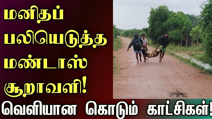 மனிதப் பலியெடுத்த மண்டாஸ் சூறாவளி | #mandous #cyclone #srilanka #chennai #tamilnadu #weather
