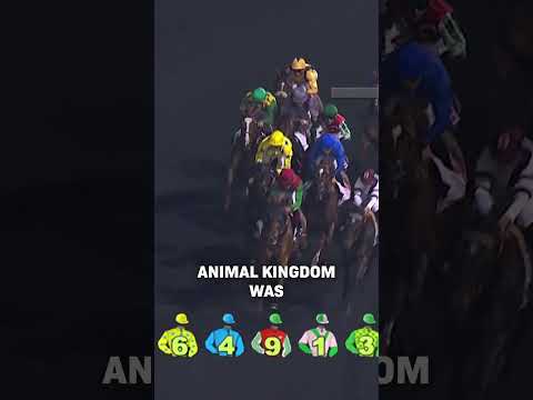 THROWBACK THURSDAY: Animal Kingdom's Comeback in Dubai!