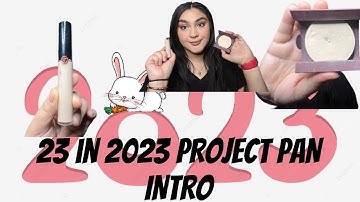 23 in 2023 project pan intro