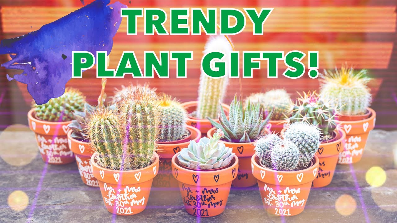 the dancing cactus Talking-Singing-Dancing Cactus – Baby Mondo