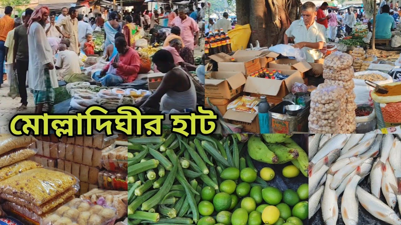 মোল্লাদিঘীরহাট কুমারগঞ্জ - Molladighi Hat Kumarganj Dakshin Dinajpur - Ashadul Vlogs
