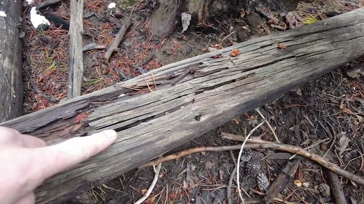 Forrest Fenn Treasure: BOTG at Nine Mile Hole - Ma...