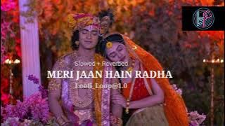 meri Jaan hain radha(slowed   reverb) #lofi#viral#youtubeshorts