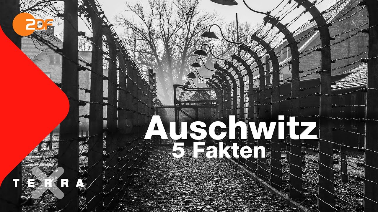 Das größte Konzentrationslager war ein Vernichtungslager im Zweiten Weltkrieg