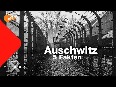 5 faktów, które warto wiedzieć o Auschwitz | Tera X