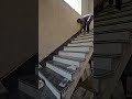 स्टेप और स्कैटिंग