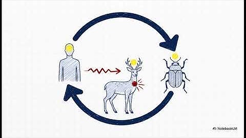Oneness, Non-Lethal Systems, and the Reasoning Self