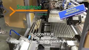 Fully automatic rice crackers primary and secondary packing system