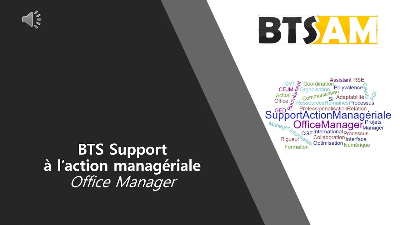 presentation du bts sam