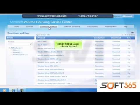 Hướng dẫn kích hoạt Volume Licensing qua VLSC