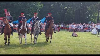 Pulaski 🎖️ Poland-United States Hero🗽Military Horse 🎠🇵🇱 🇺🇸