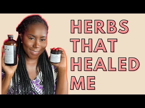 Video: Blackroot (herb) - Useful Properties And Uses Of Blackroot, Blackroot Seeds. Blackroot Medicinal