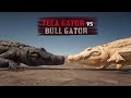 BLACK Alligator vs WHITE Alligator Speed Test in Red Dead Redemption 2 PC 4K