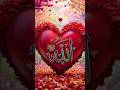 ISLAAM ME 5 SABSE ACHHESAPNE😱#shortvideo#viralvideo#trending#subscribe#support#youtubeshorts#allah🤯😯