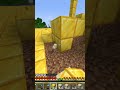 Poniendo un bloque de oro en mi mundo hardcore por cada suscriptor que tenga