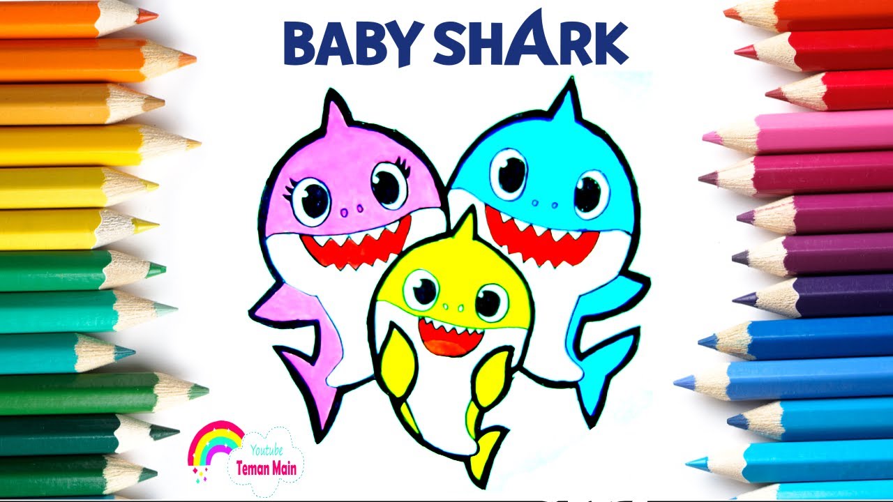  Menggambar  dan Mewarnai Babyshark Doo Doo YouTube