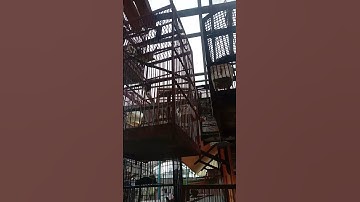 harga bahan burung tepus lurik