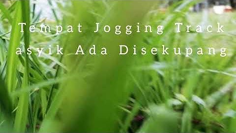 Tempat Olahraga & Jogging Track Yang Asyik Ada Dibatam (Taman Rusa Sekupang)