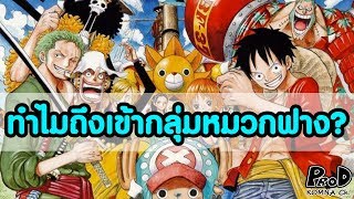 วันพีช - เหตุผลที่เข้ากลุ่มหมวกฝางของสมาชิกทุกคนคือ? [KOMNA CHANNEL]