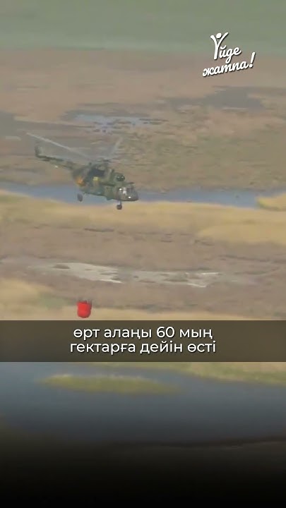 Абай облысында қарағай орманы қайта өртеніп жатыр | Пожар | Семей ...