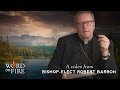 Bishop Barron on Nature and the Biblical God