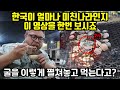 (실제 영상) 미국인 교수가 비싸서 구경도 못했던 굴을 한국에서 먹게되자 보인 반응