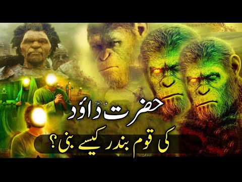 How did the people of Hazrat Dawood (as) become monkeys? | hazrat dawood as ka waqia |#qasasulislam