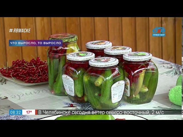 Что выросло - то выросло - маринованные огурцы со смородиной